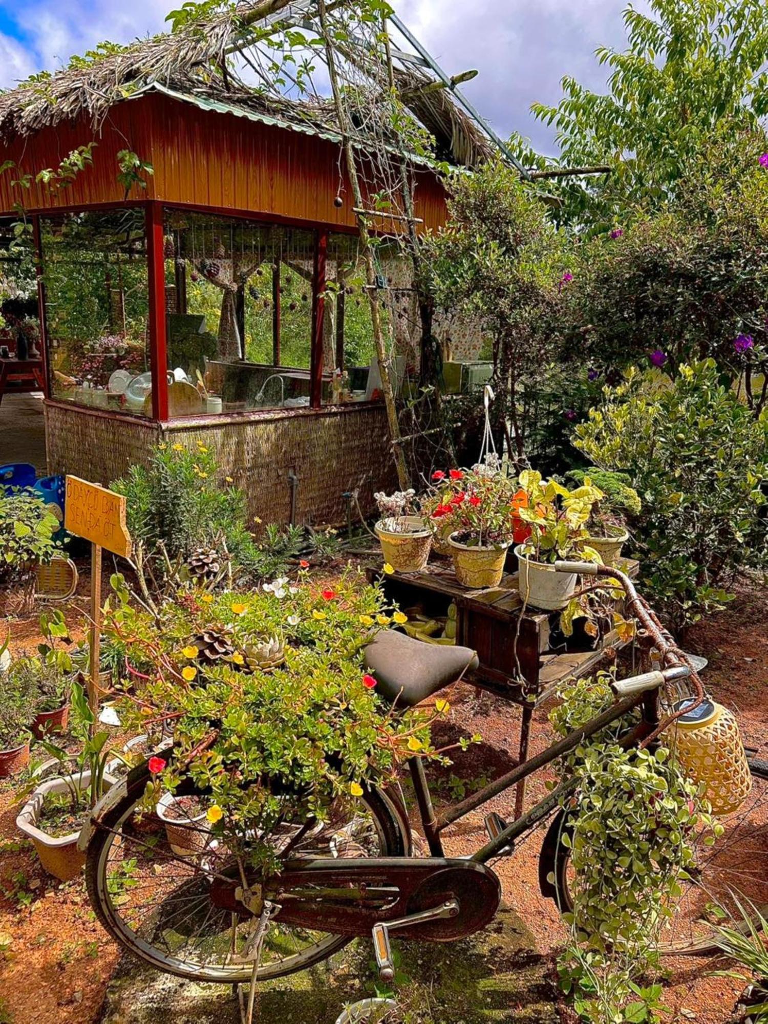 Nha Ben Ho - Da Lat Homestay Exterior foto